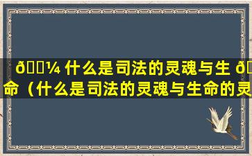 🌼 什么是司法的灵魂与生 🦅 命（什么是司法的灵魂与生命的灵魂）